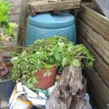 Composting Tips and Tricks