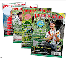 Leading Eco Magazine