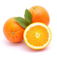 Natural Vitamin C Shower Filters
