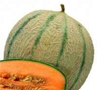 Organic Charentais Melon Seeds