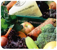 Woodlands Organic Produce